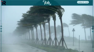 طقس الجزائر غداً: أمطار ورياح تغطي عدة مناطق أبرزها